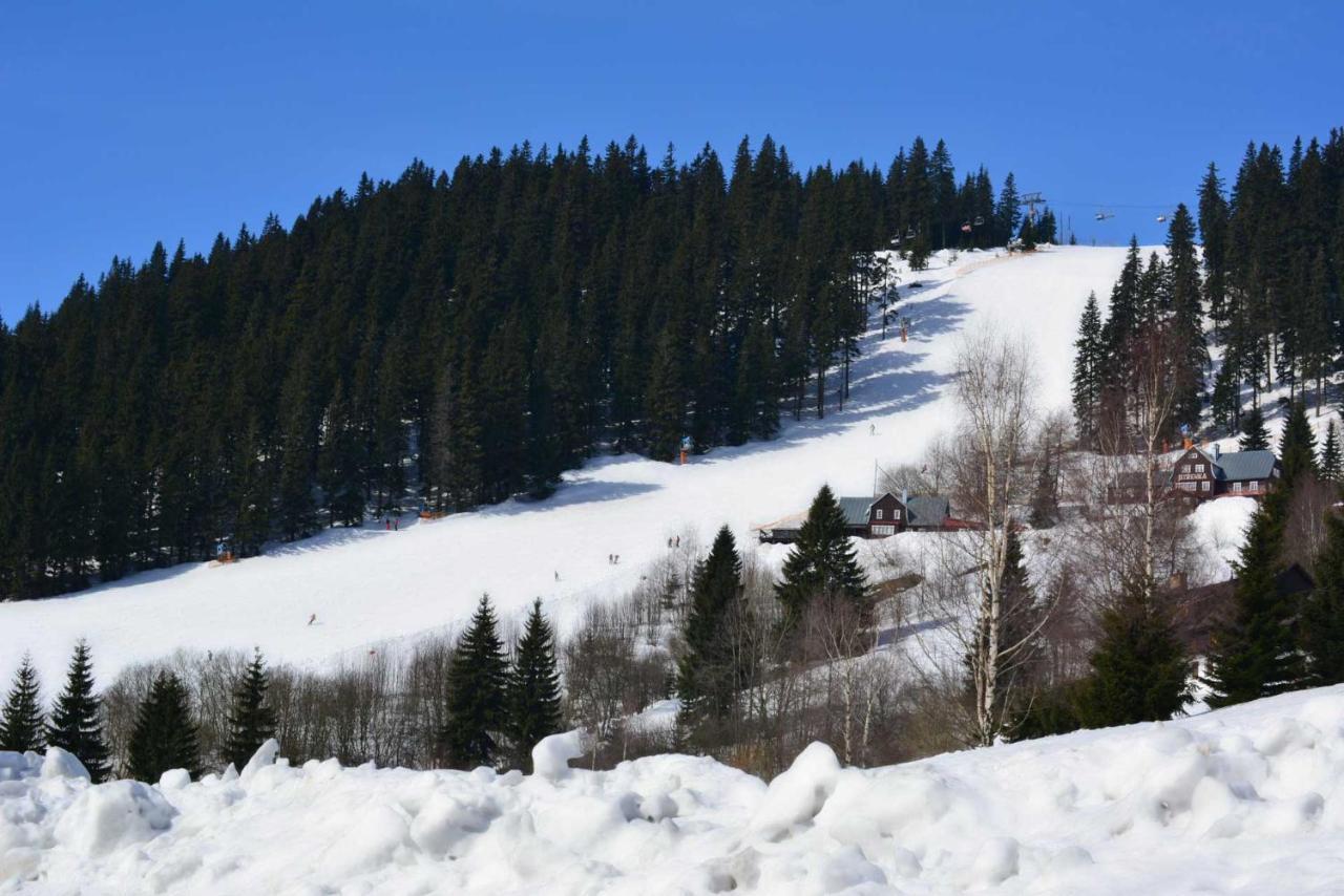 Hotel Obzor